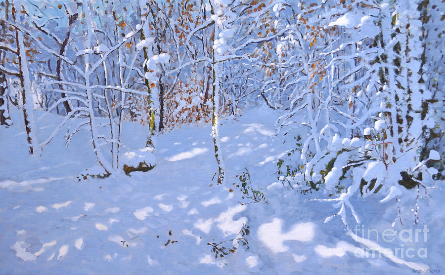 November Snow, Allestree Woods, Derby Painting by Andrew Macara