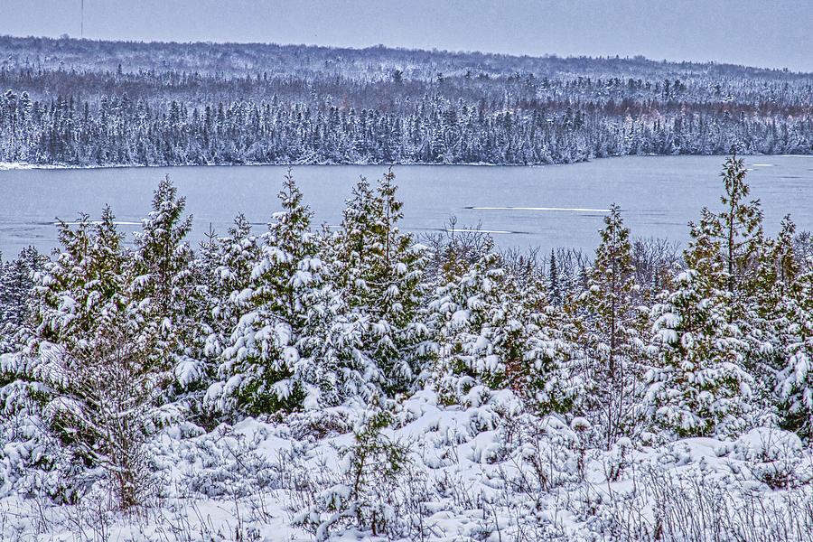 November Snow Photograph by Dana Foreman