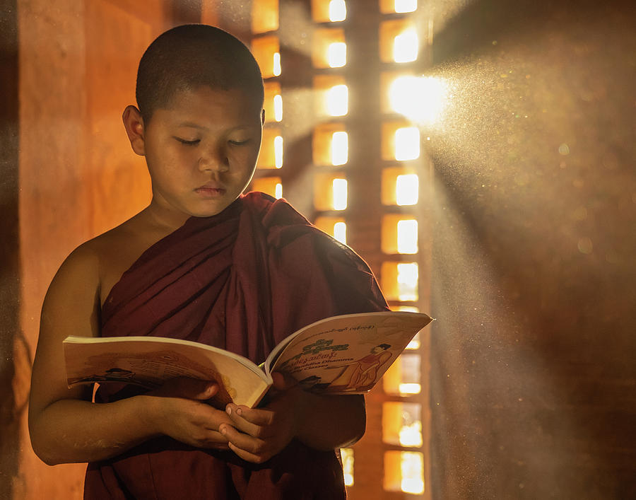 Novice Monk Reading Photograph by Ann Moore