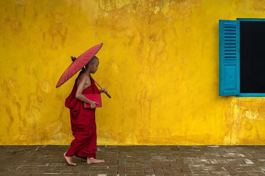 Novice Monk Walking By Photograph by Anges Van Der Logt