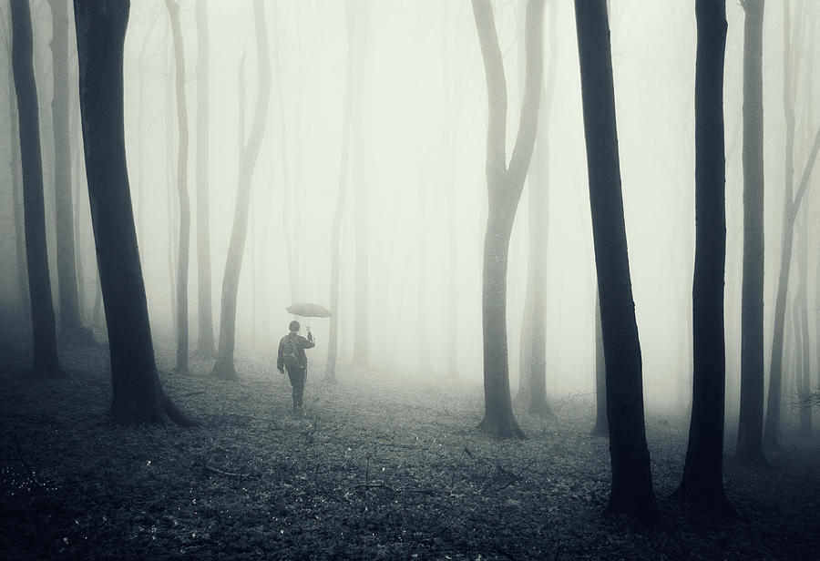 Tree Photograph - Nowhere by Photocosma