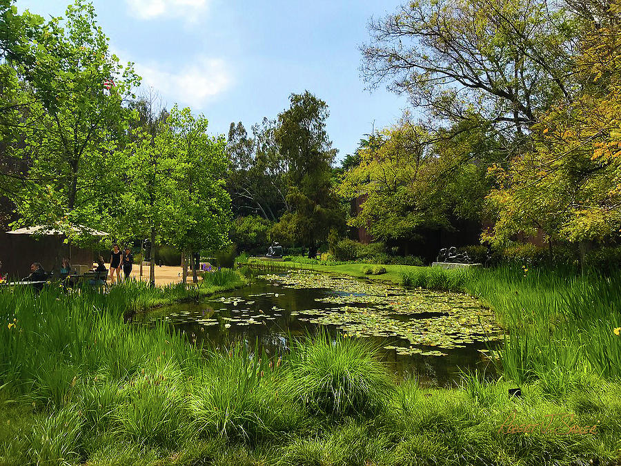Pasadena Photograph - NSM Sculpture Garden and Lily Pond by Robert J Sadler