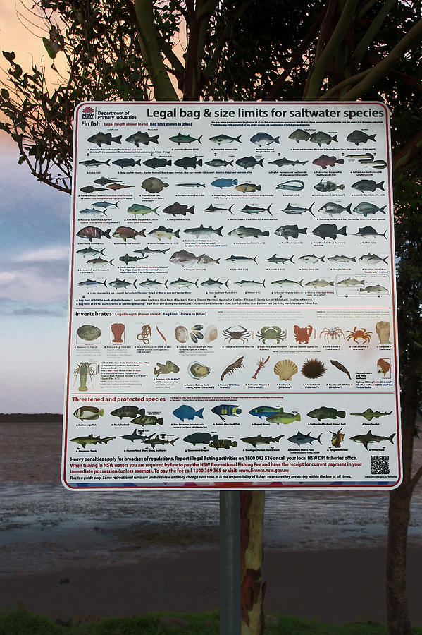 NSW Recreational Fishing  Photograph by Miroslava Jurcik