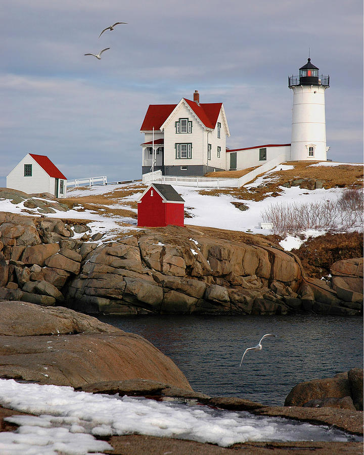 Seagull Photograph - Nubble Light - Cape Neddick lighthouse seascape landscape rocky coast Maine by Jon Holiday