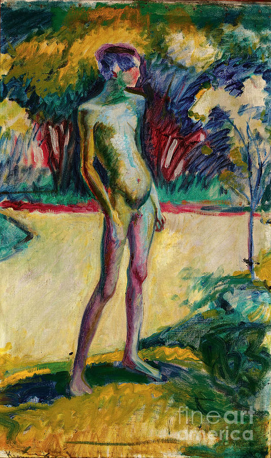 Nude Boy In The Garden Of Nyerges Drawing by Heritage Images