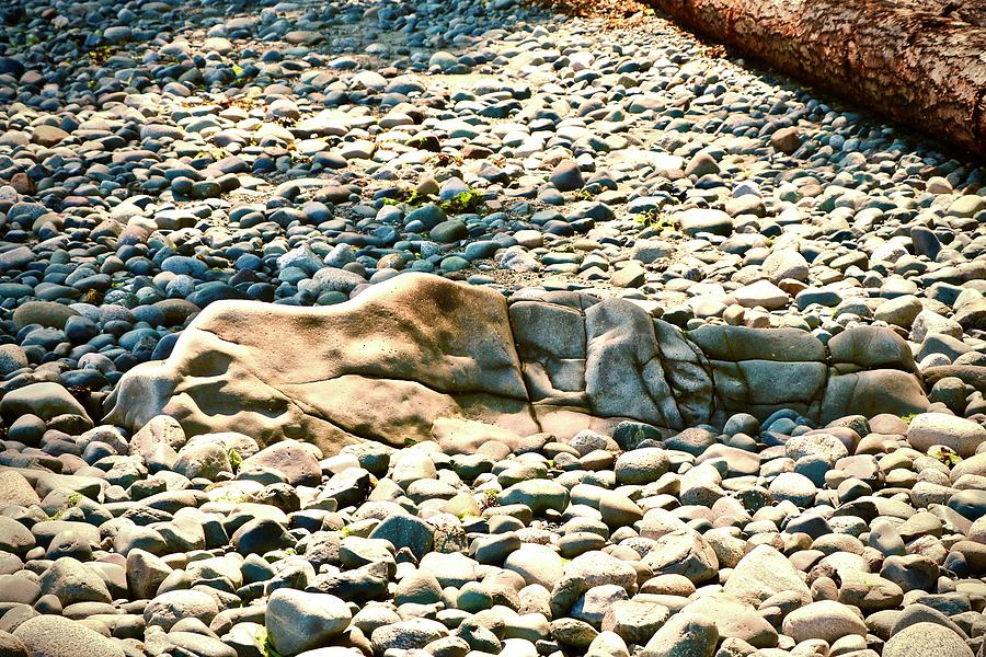 Nude Rock On Whalebone Beach Photograph