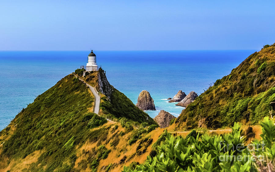 Nugget Point lighthouse, New Zealand Photograph by Lyl Dil Creations