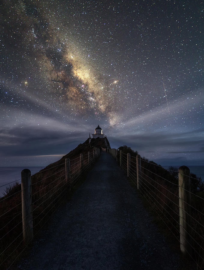 Lighthouse Photograph - Nugget Point Lighthouse New Zealand by Photography by KO