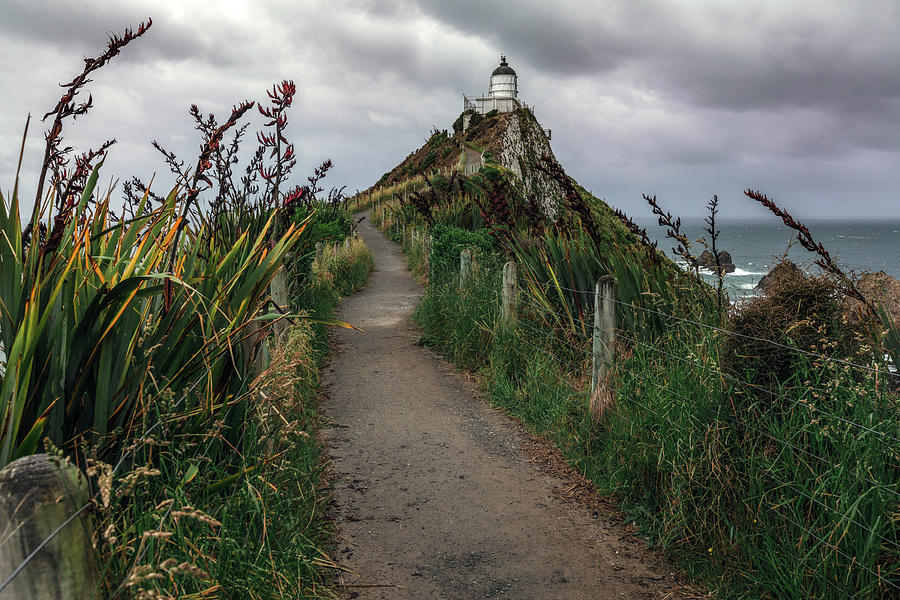 Nugget Point - New Zealand Photograph by Joana Kruse