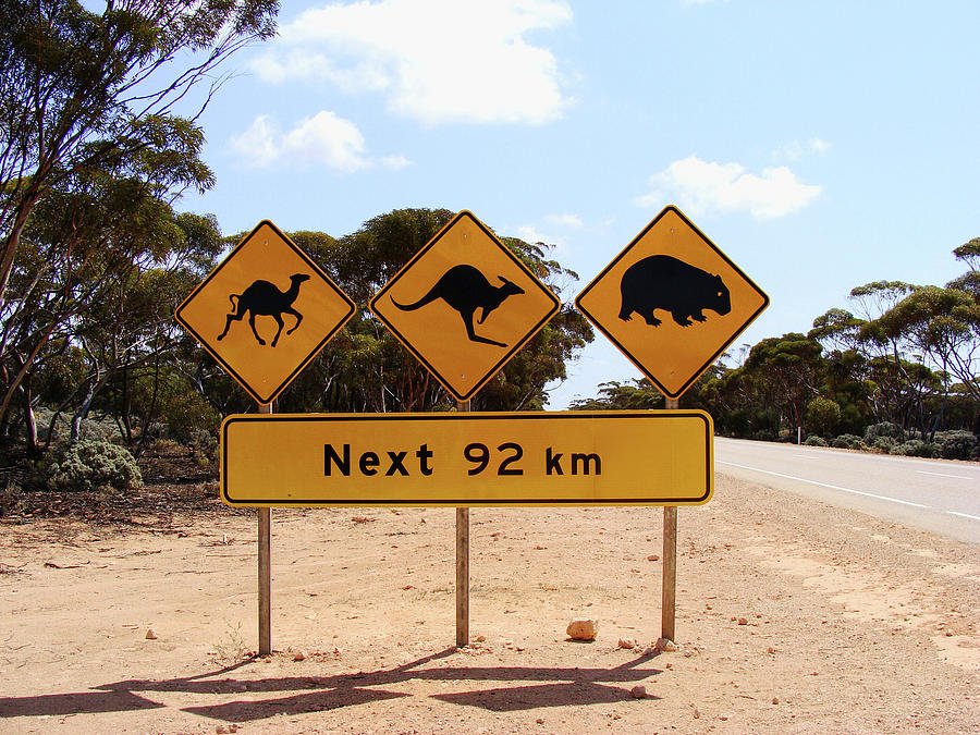 Nullarbor Desert Road Signs Photograph by Elena Martinello