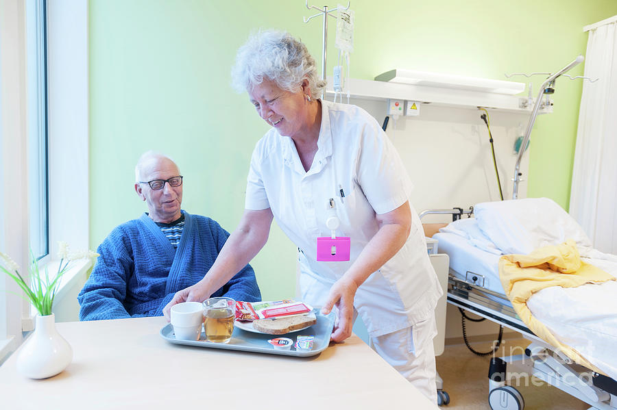 Nurse Delivering Patient Meal Photograph by Arno Massee/science Photo ...