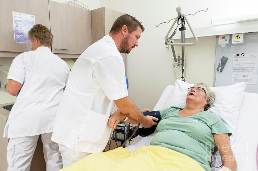 Nurse Taking Patient's Blood Pressure Photograph by Arno Massee/science ...