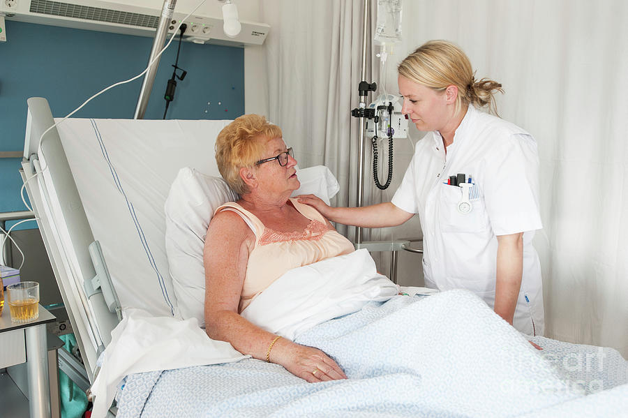 Nurse Talking To An Elderly Patient Photograph by Arno Massee/science Photo Library