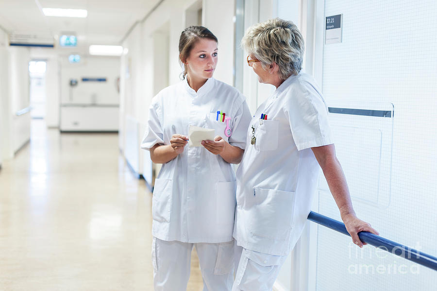 Nurses Conferring In The Corridor Of A Hospital Photograph by Arno Massee/science Photo Library