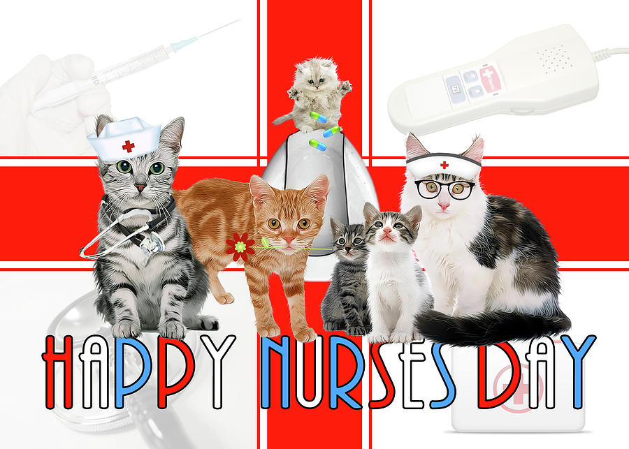 Nurses Day Cat Lover or Vet Tech Digital Art by Doreen Erhardt