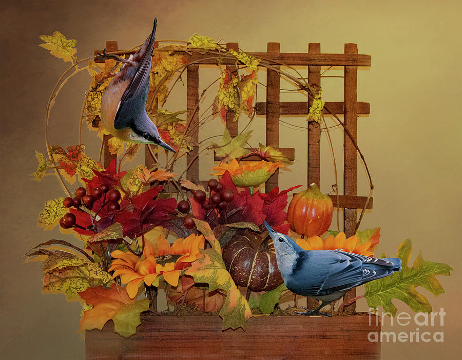 Nuthatches on a Trellis Mixed Media by Kathy Kelly