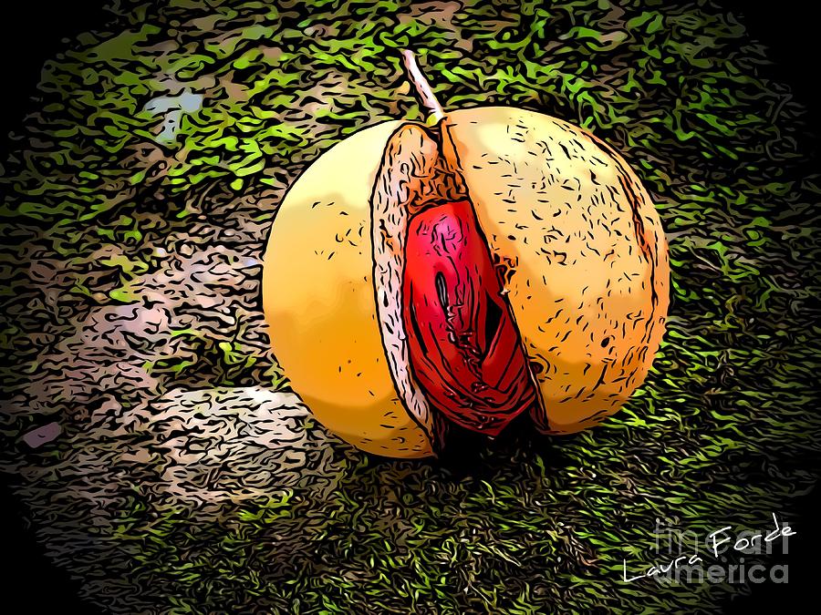 Nutmeg On Rock Digital Art by Laura Forde