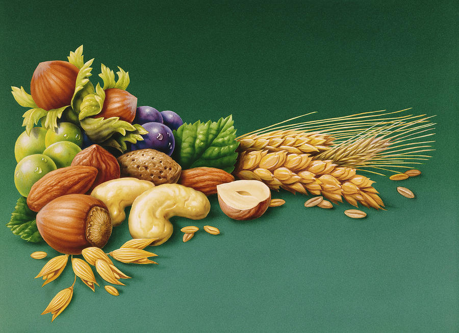 Nuts Painting - Nuts by Harro Maass