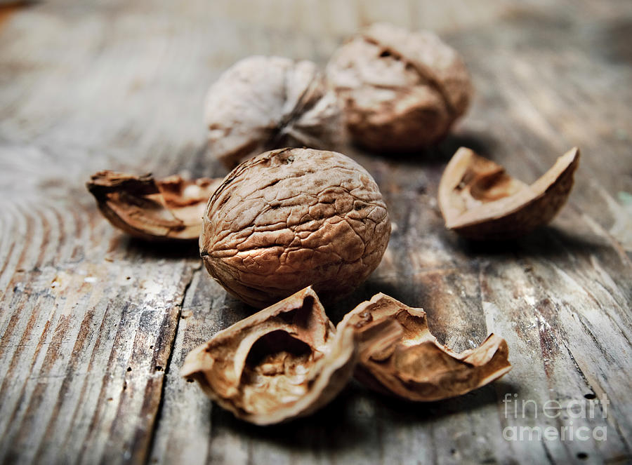 Nuts Photograph by Jelena Jovanovic