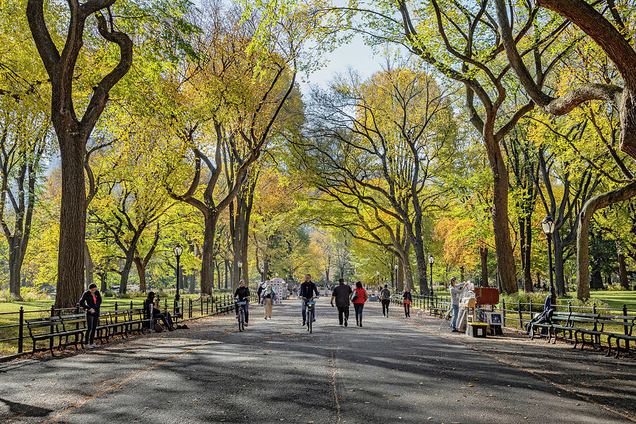 Ny, New York City, Manhattan, Central Park, The Mall, Fall Foliage ...