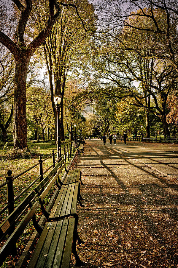 Ny, Nyc, Central Park, Central Park Mall, The Mall by Lumiere