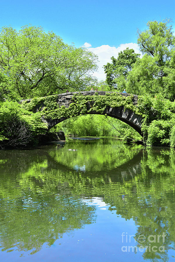 New York City Photograph - NYC Gapstow Bridge in Spring Greens by Regina Geoghan