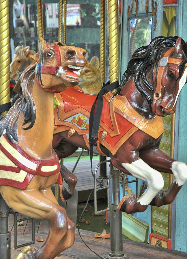 Nyc Park Carousel Photograph by Dressage Design