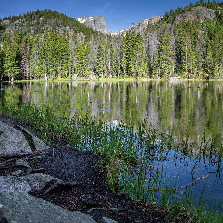 Nymph Lake in Rocky Mountain National PArk Photograph by Kyle Lee