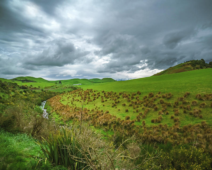 New Zealand Countryside Photograph by Nisah Cheatham