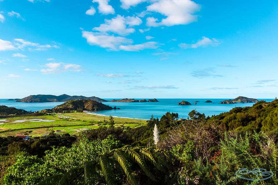 NZ North Coast Photograph by John Marr