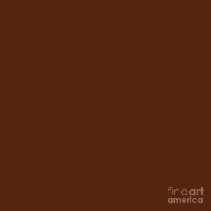 Color nude brown The 17