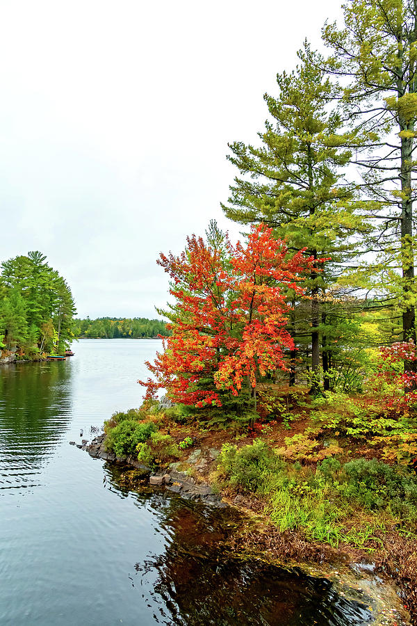 O Canada - Autumn on the Canadian Shield 11 Photograph by Steve Harrington