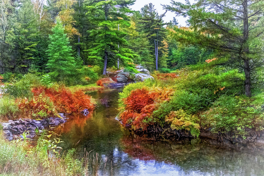 O Canada - Autumn On The Canadian Shield 3 - Paint Photograph