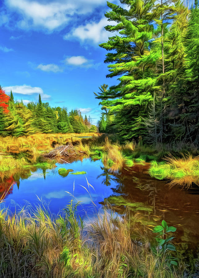 O Canada - Autumn On The Canadian Shield 4 - Paint Photograph