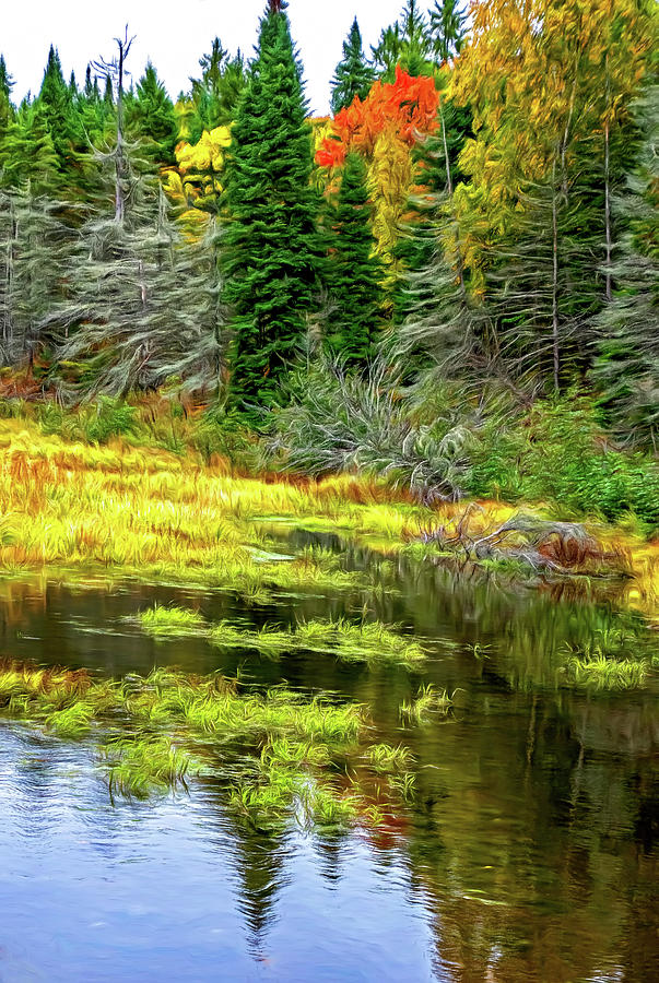 O Canada - Autumn on the Canadian Shield 5 - Paint Photograph by Steve ...