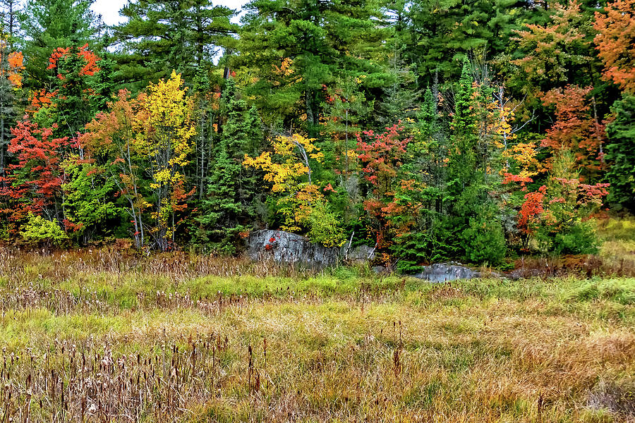 O Canada - Autumn On The Canadian Shield 7 Photograph