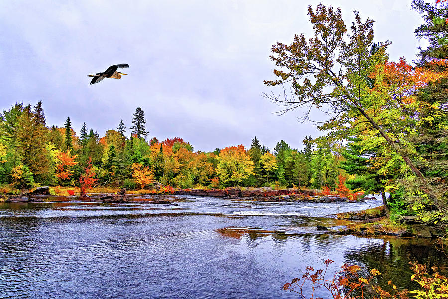 O Canada - Autumn on the Canadian Shield 8 - Paint Photograph by Steve Harrington