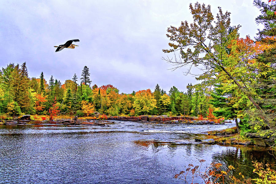 O Canada - Autumn on the Canadian Shield 8 Photograph by Steve Harrington