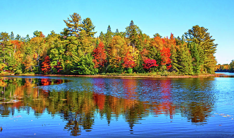 O Canada - Dueling Autumn Leaves 11 Photograph by Steve Harrington