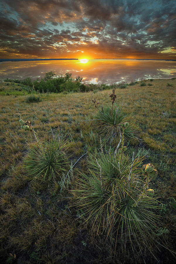 Oahe Sunset Photograph