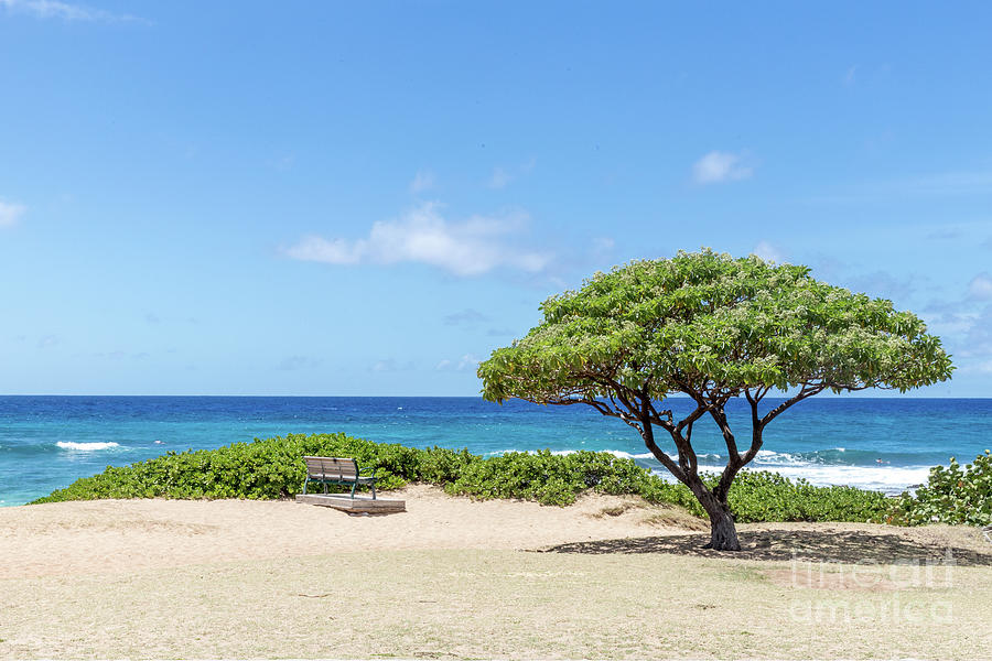 Beach Photograph - Oahu, Hawaii Beach View by Eddie Hernandez