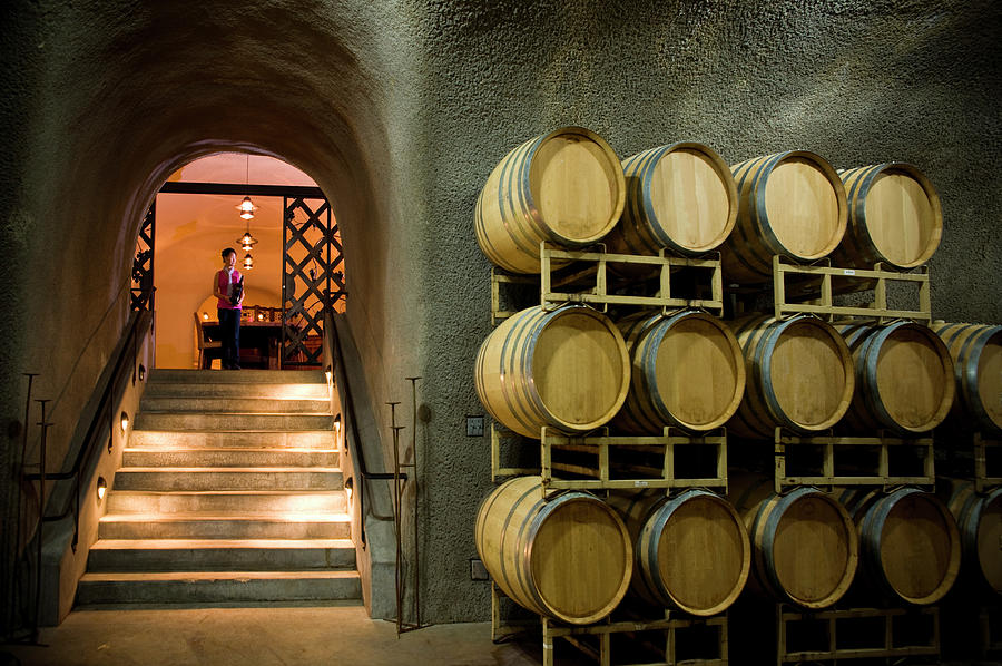 Oak Barrels In Wine Cave At Winery Napa Photograph By Seanfboggs | Fine ...