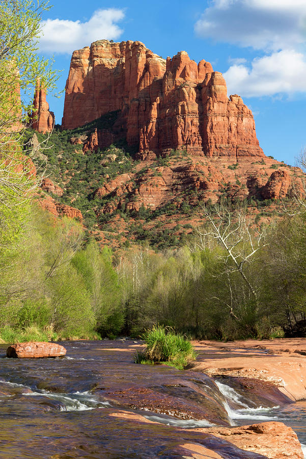 Oak Creek and Cathedral Rock Photograph by Amy Sorvillo - Fine Art America