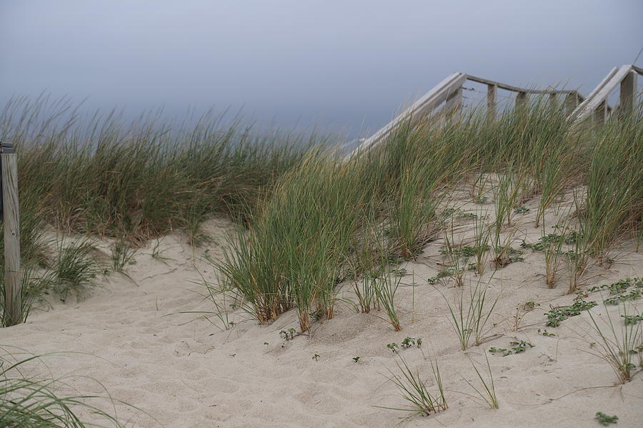 Oak Island Boardwalk And Seagrass 5 Photograph by Cathy Lindsey - Fine ...