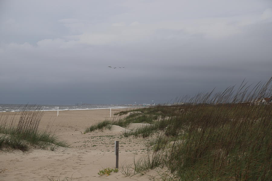 Oak Island Seascape 15 Photograph by Cathy Lindsey - Fine Art America