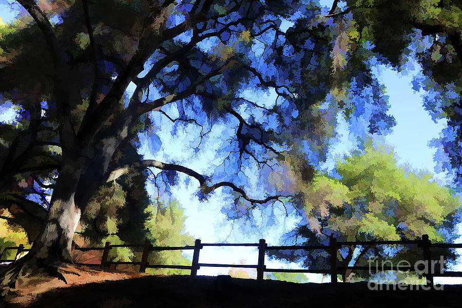 Oak Tree Art Photography  Digital Art by Chuck Kuhn