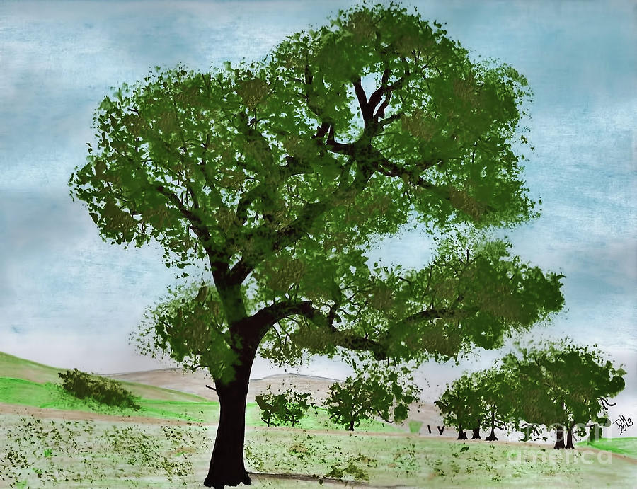 Oak Tree Landscape Drawing by D Hackett