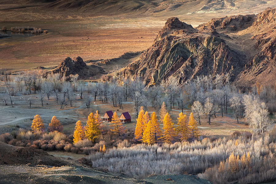 Mountain Photograph - Oasis In The Mountains (altai) by Anna Pakutina