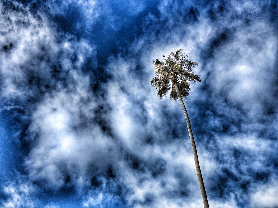 OB Livin' No. 4 by Keith McGill OB Livin' No. 4 by Keith McGill