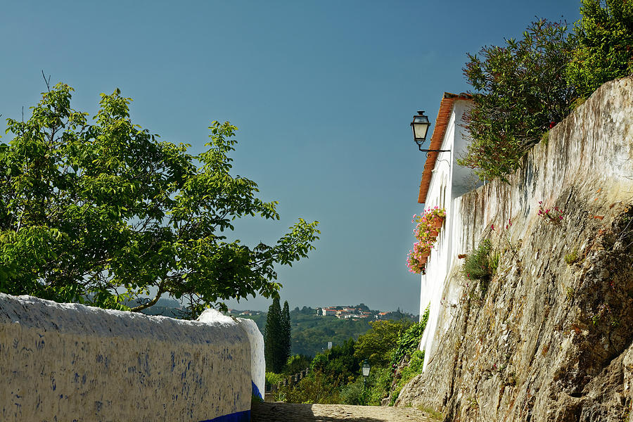 Obidos Scene Photograph by Sally Weigand